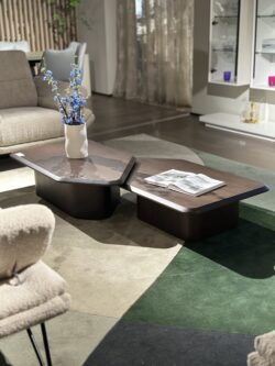 Table basse 2 pièces
