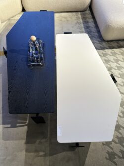 Table basse 2 pièces