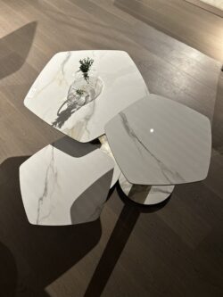 Table basse 2 pièces