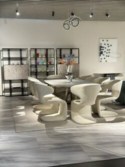 Table de salle à manger 10 chaises